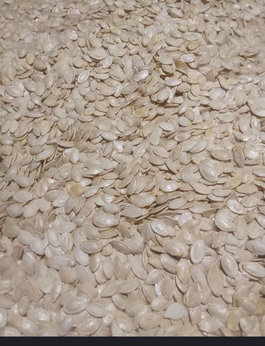 Гарбузове насіння