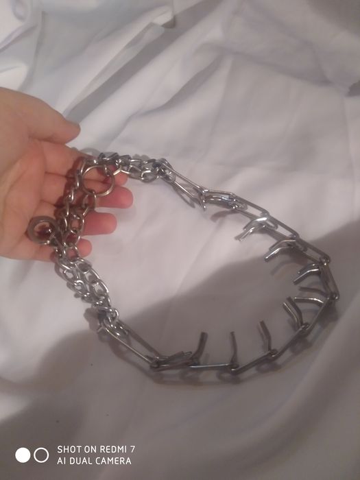 Строгий ошейник или парфорс для дрессировки собак на большую собаку