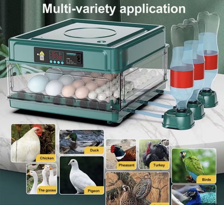 Chocadeira ( incubadora de ovos)