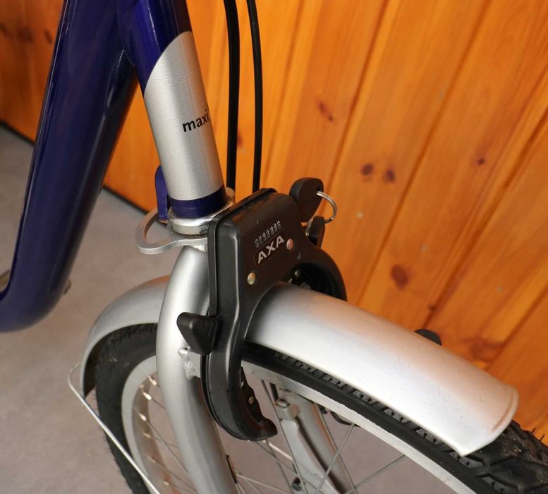 Trójkołowy rower rehabilitacyjny Vanraam