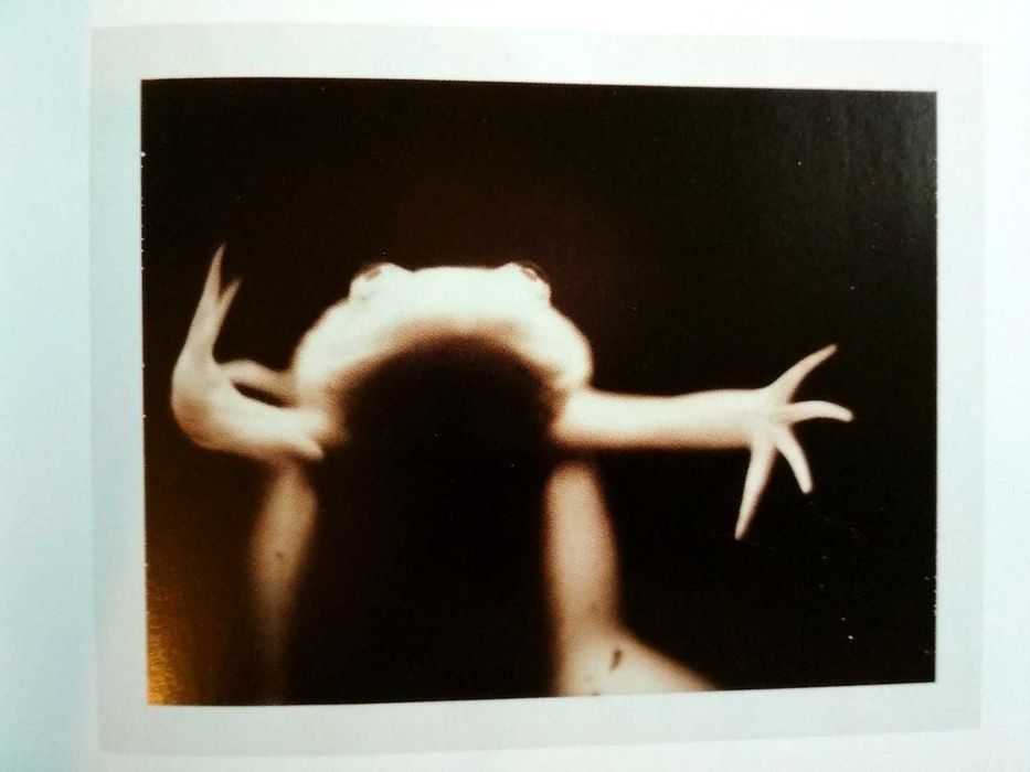 The Polaroid Book - Taschen (porte incluído)