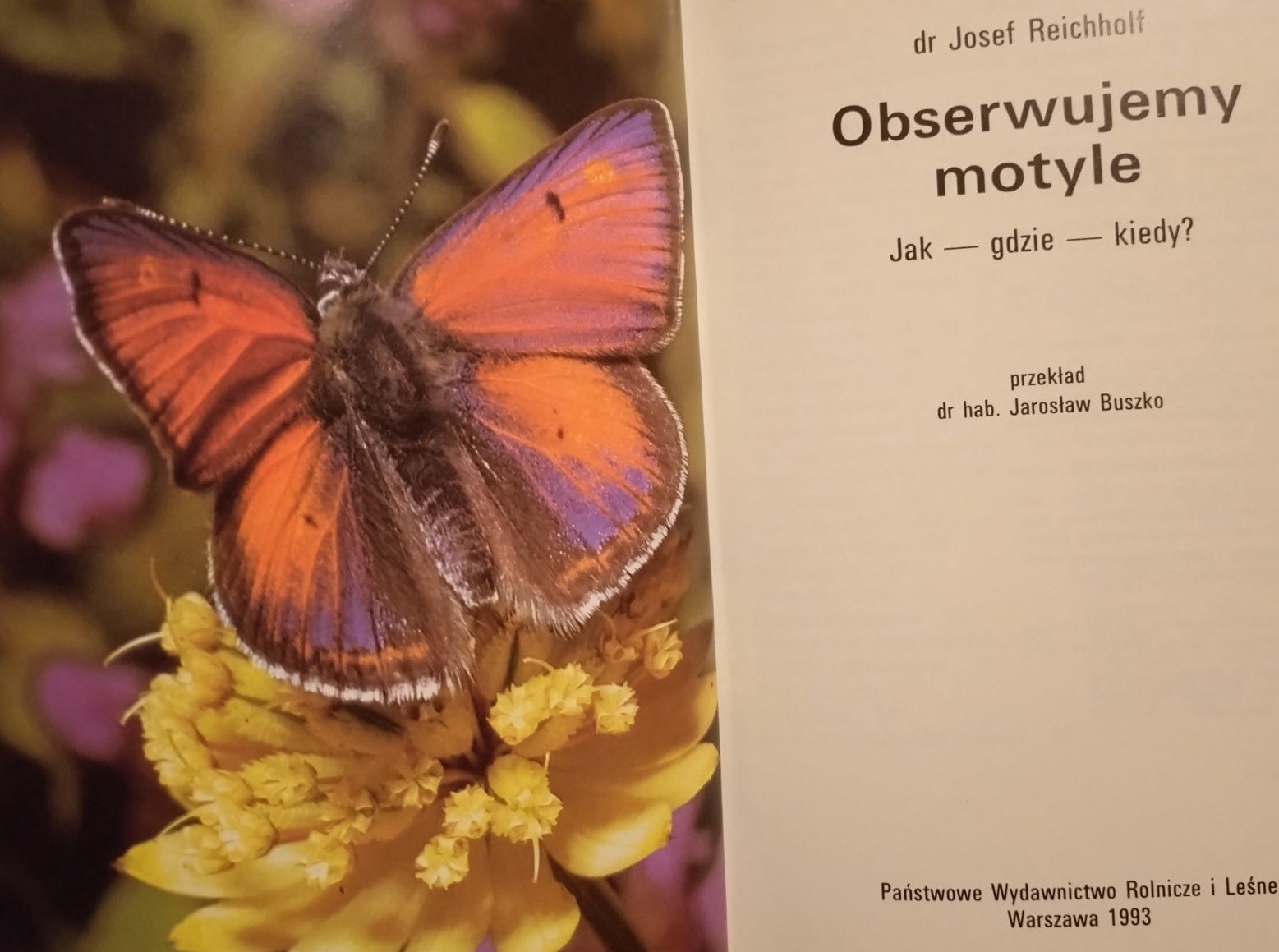 Obserwujemy motyle. Josef Reichholf