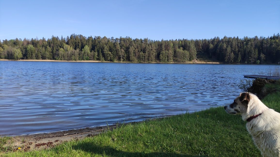 Wypoczynek nad Wigrami