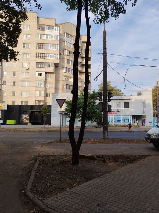 Спил та видалення дерев, підрізка