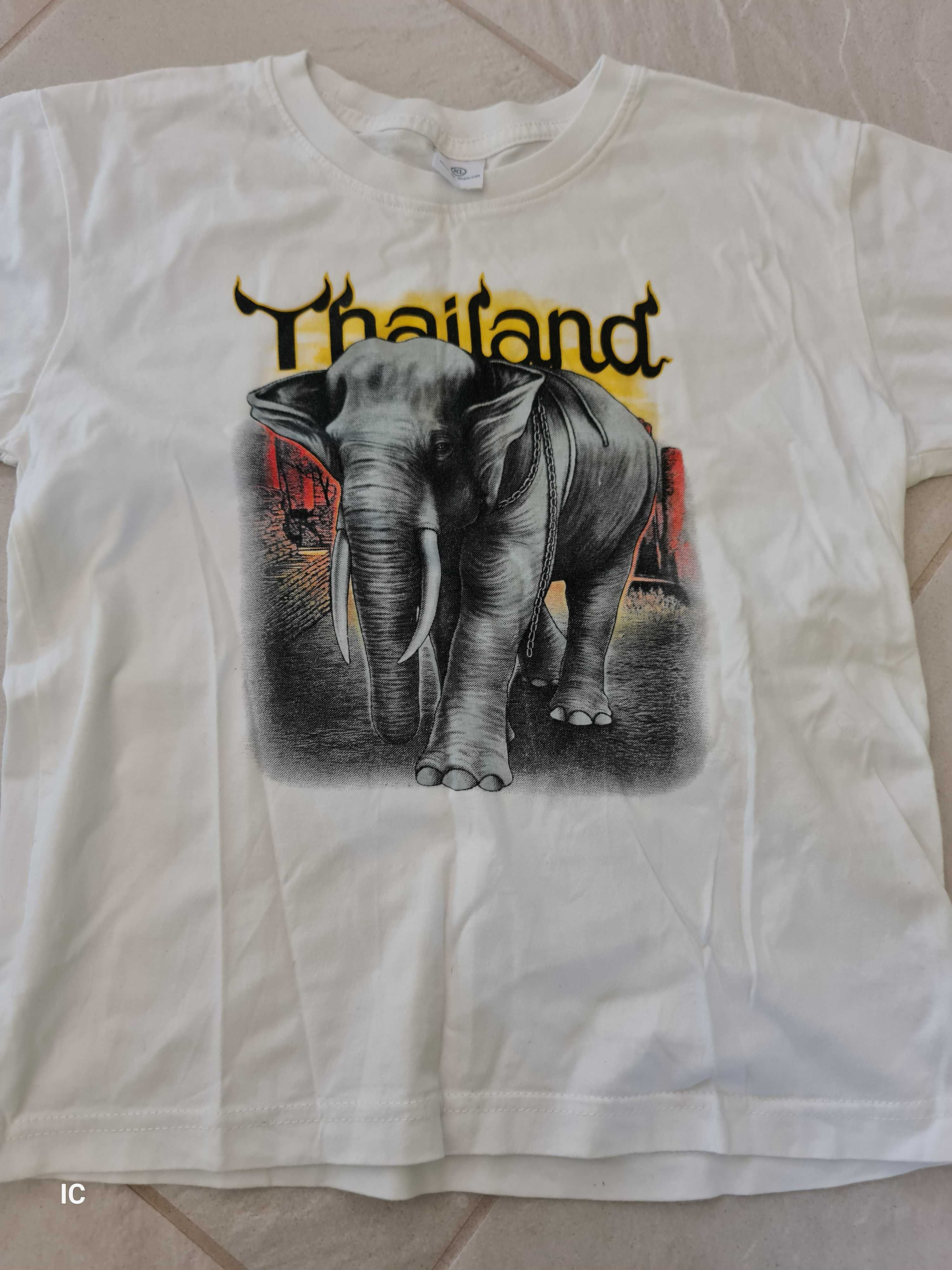 T-shirt z motywem słonia