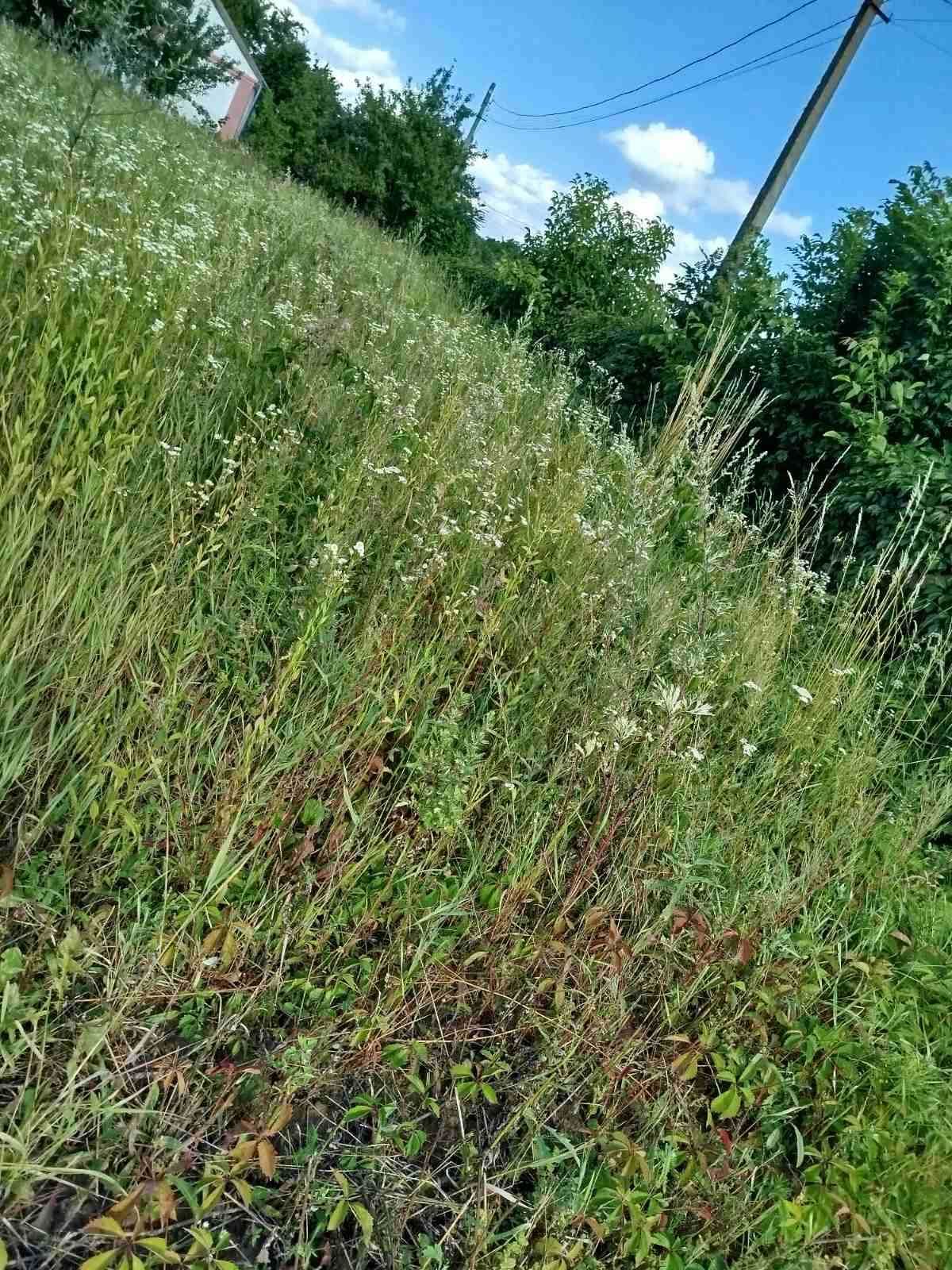 (3) Продам земельну ділянку на Вінницьких Хуторах 0756