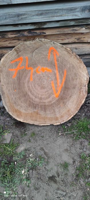 Plastry dębowe na stolik