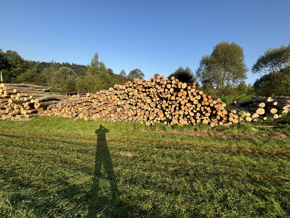 Drewno opałowe kominkowe buk grab