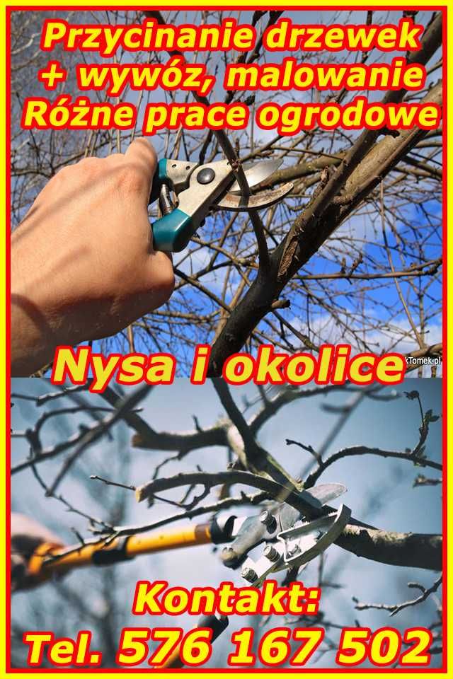 Przycinanie drzewek, koszenie, wycinka drzew, glebogryzarka, kopanie