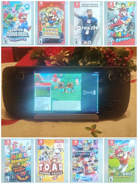 Cartão personalizado para Steam Deck