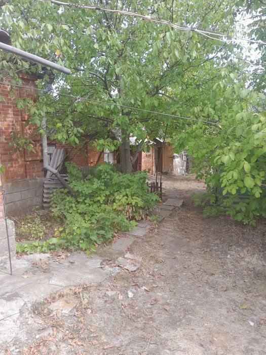 Продам будинок в селі Софіївка .