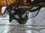 Troncos para aquário (driftwood)
