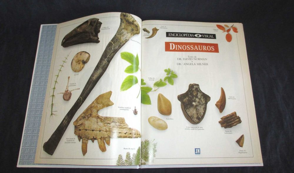 Livro Dinossauros Borboletas Plantas Enciclopédia Visual