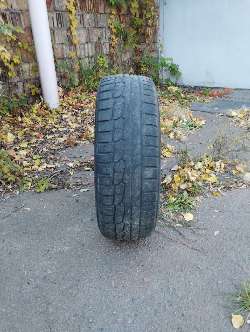 Гума автомобільна зимова 215/65 R16 Nokian
