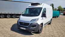 Fiat Ducato  2,3 130KM 2014 Blaszak 250tyś km Mroźnia Chłodnia Agregat Carrier -29