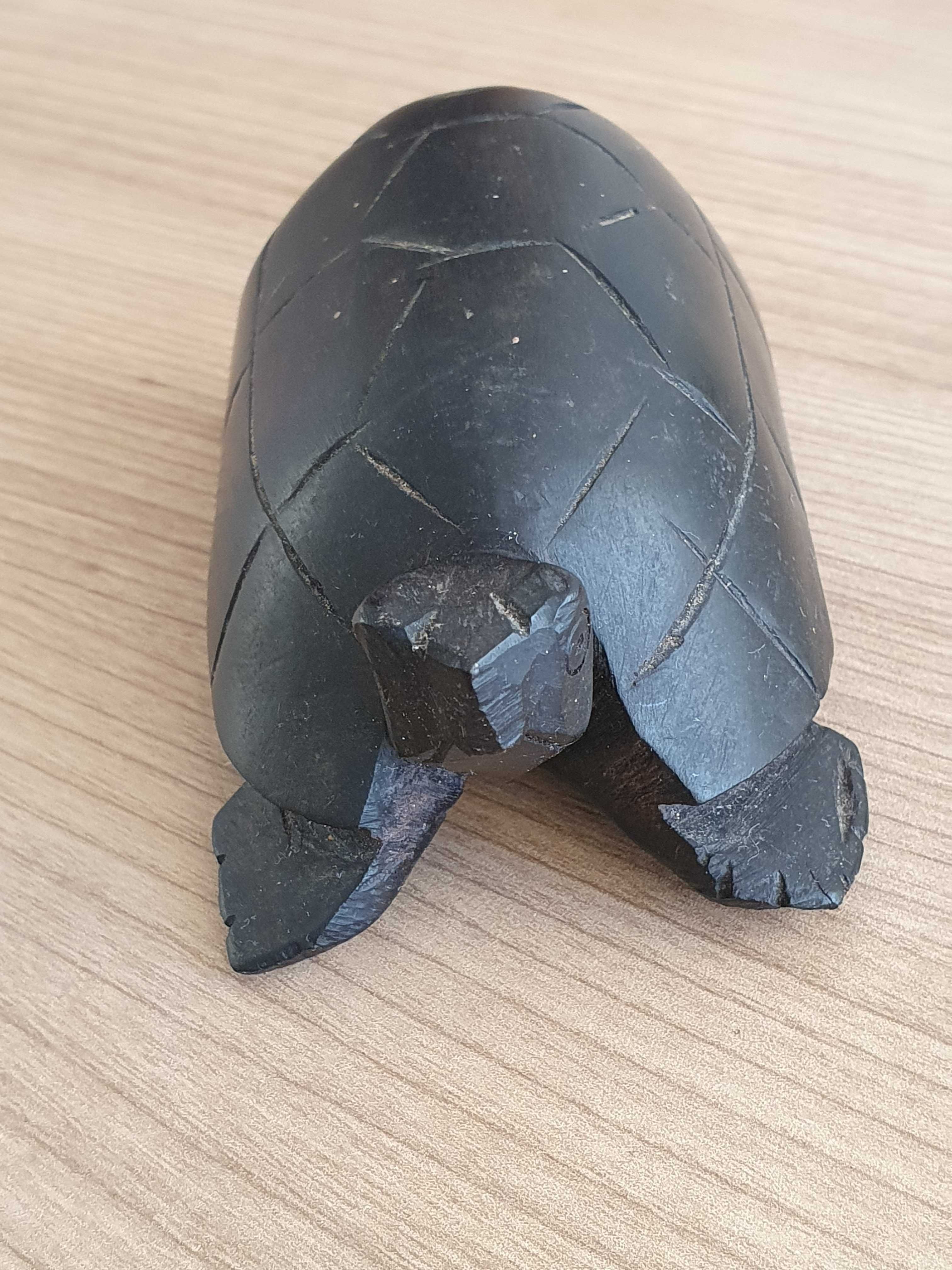 Tartaruga em Madeira Africana