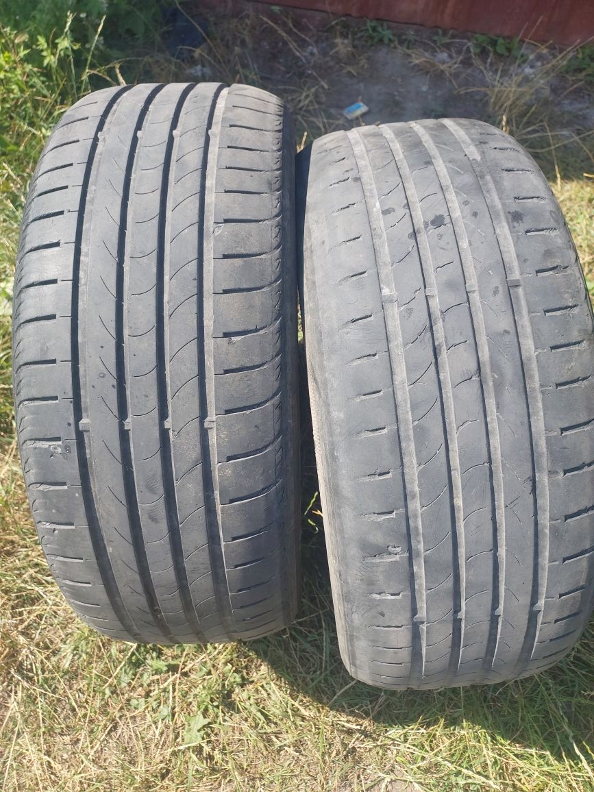 Шини 225/50 r17 NEXEN