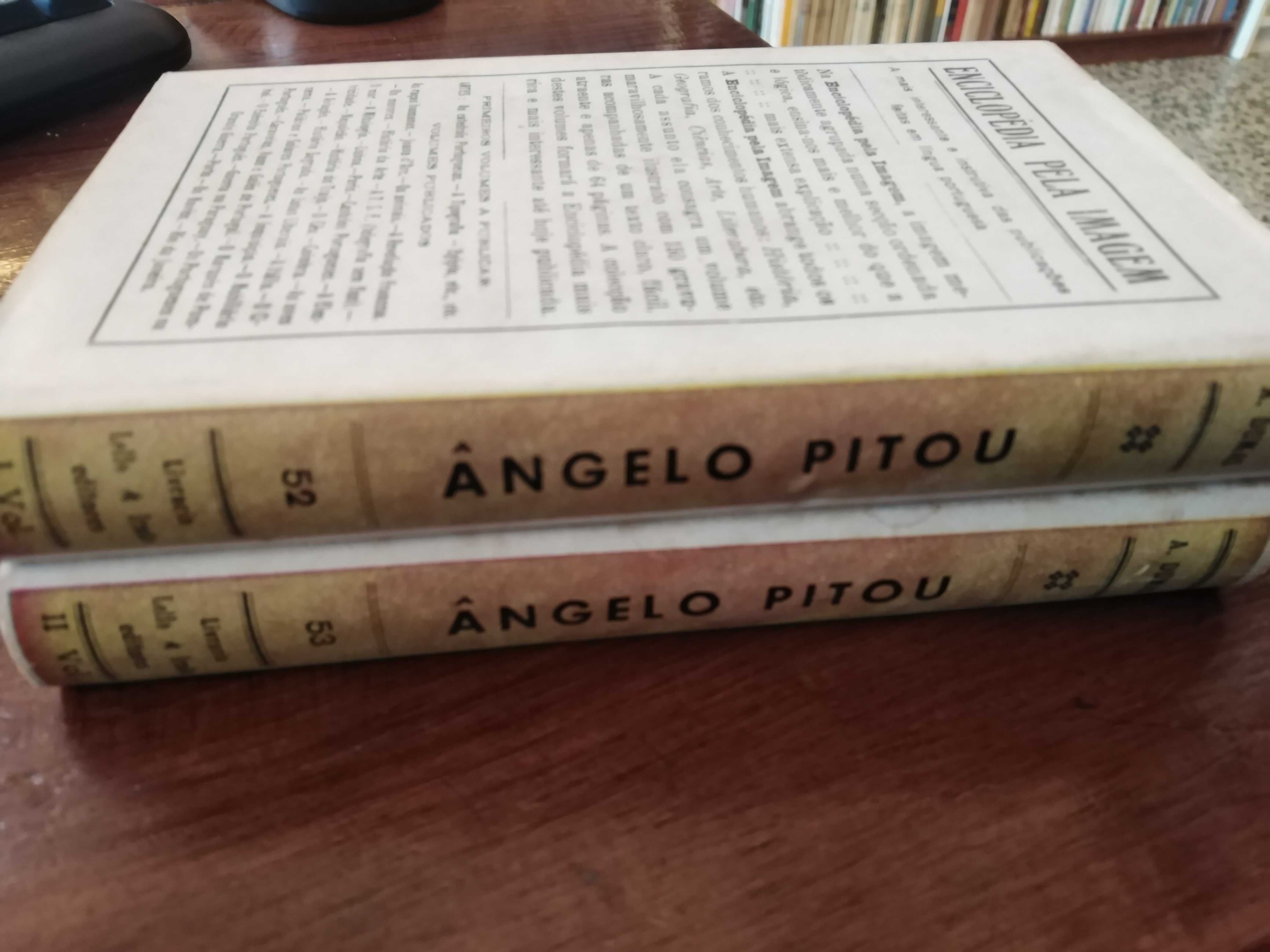 A. Dumas - Ângelo Pitou (2 vols.)
