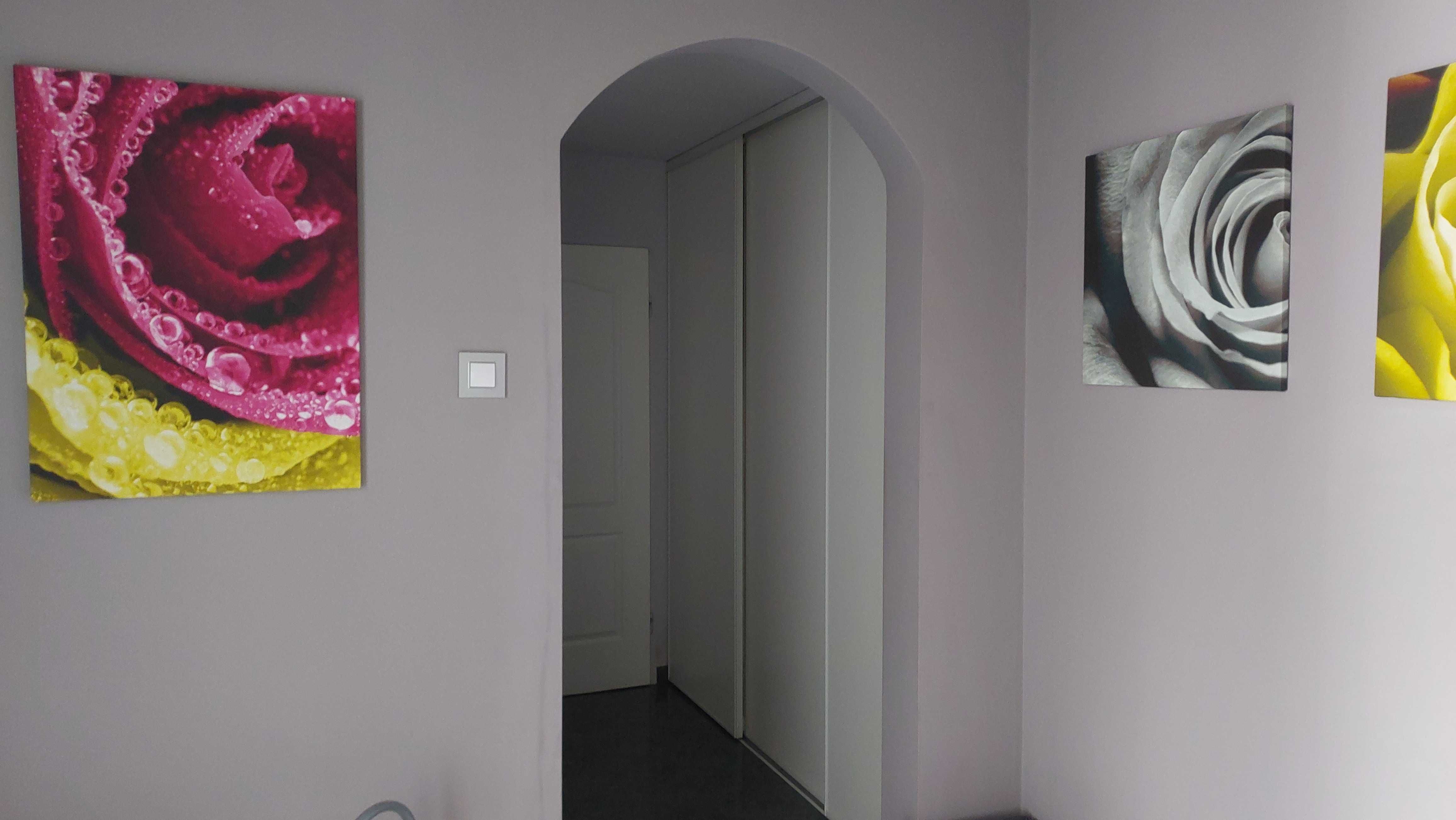Zestaw 6 obrazów drukowanych firmy ARTFORMA sprzedam.