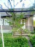 Безкоштовно будинок в селі