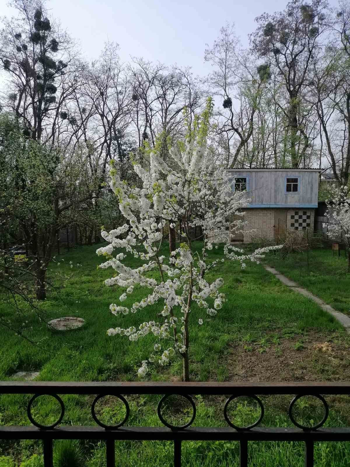 Продам будинок в с.Іванковичі СТ "Еколог"