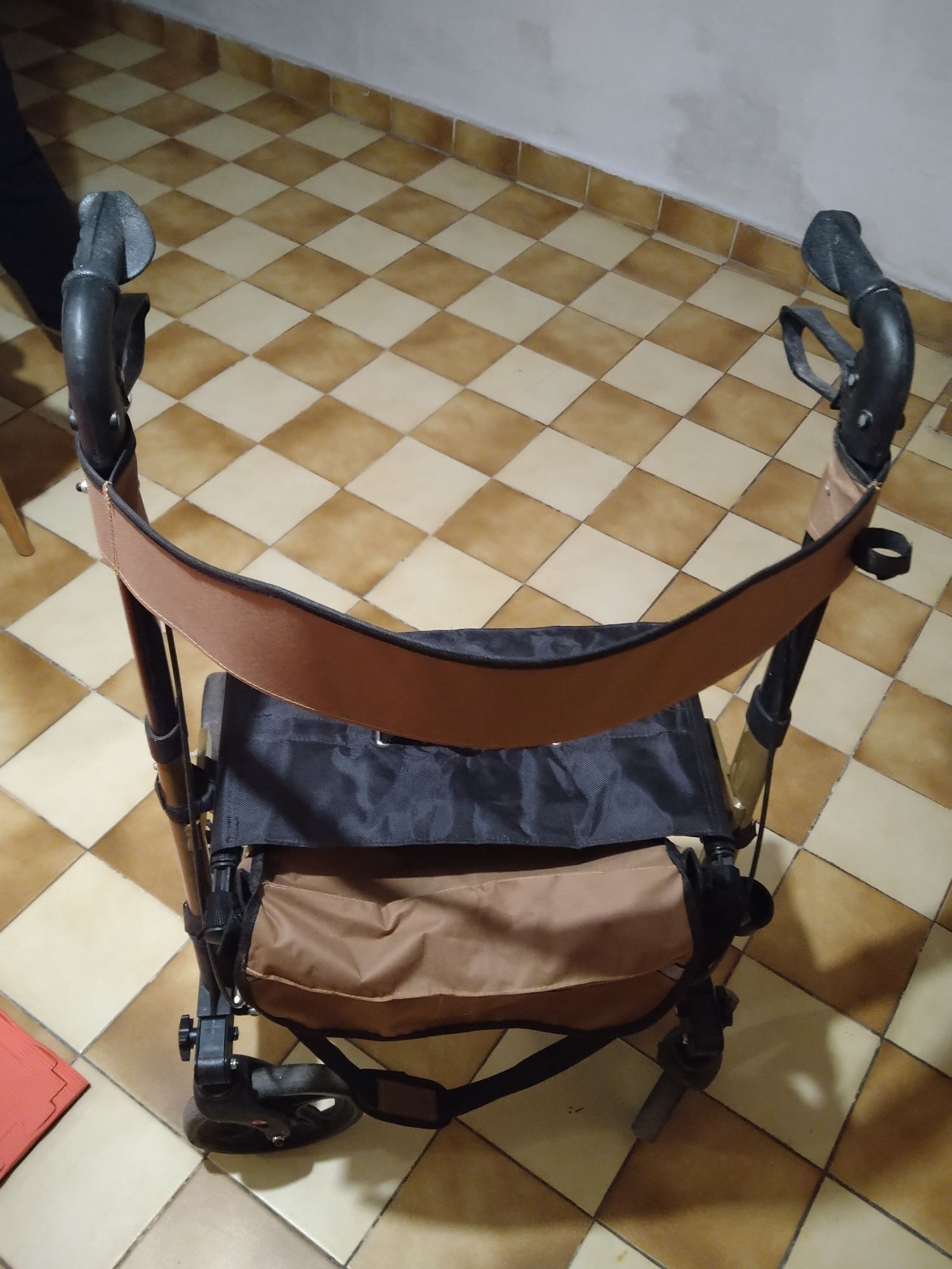 Chodzik dla osoby niepełnosprawnej (spacerowy)