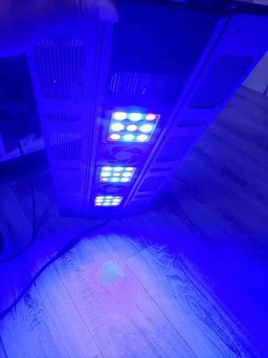 Lampa do akwarium morskiego Maxspect Razor R420R 180W
