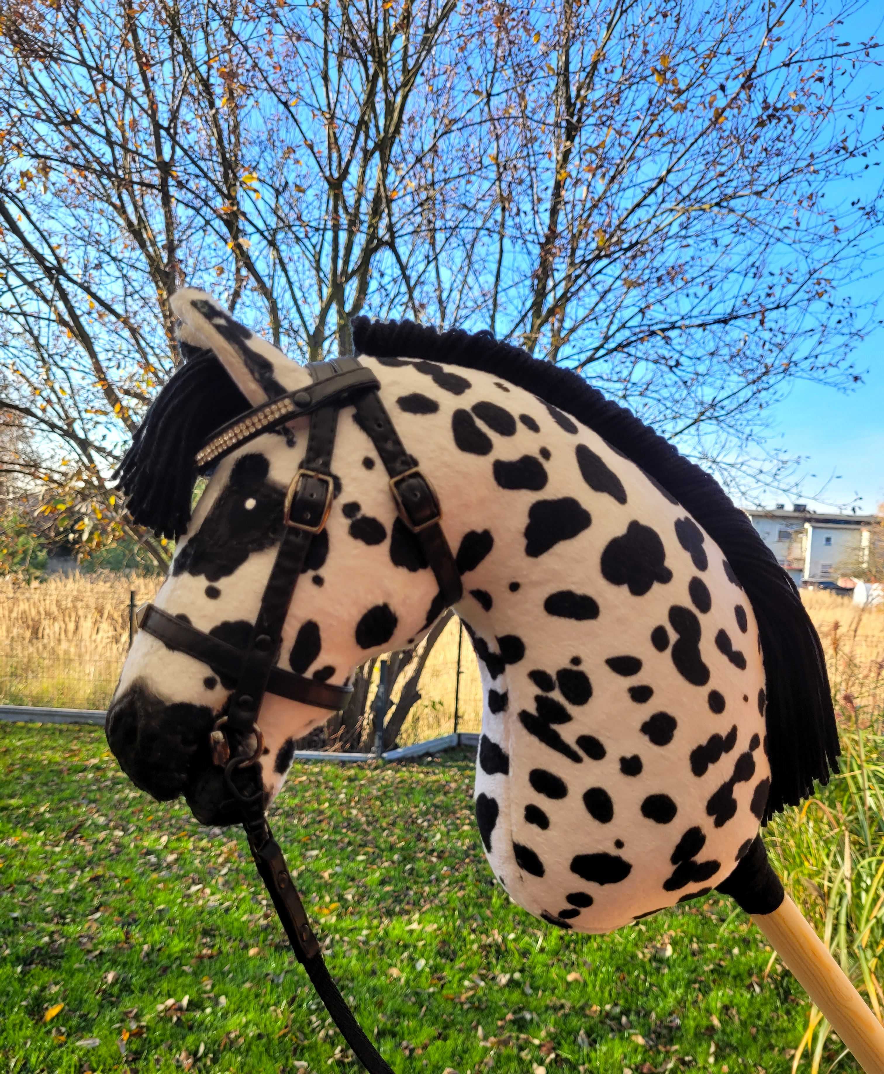 Hobby Horse, Konik na kiju, lekki, A4 do skoków #180