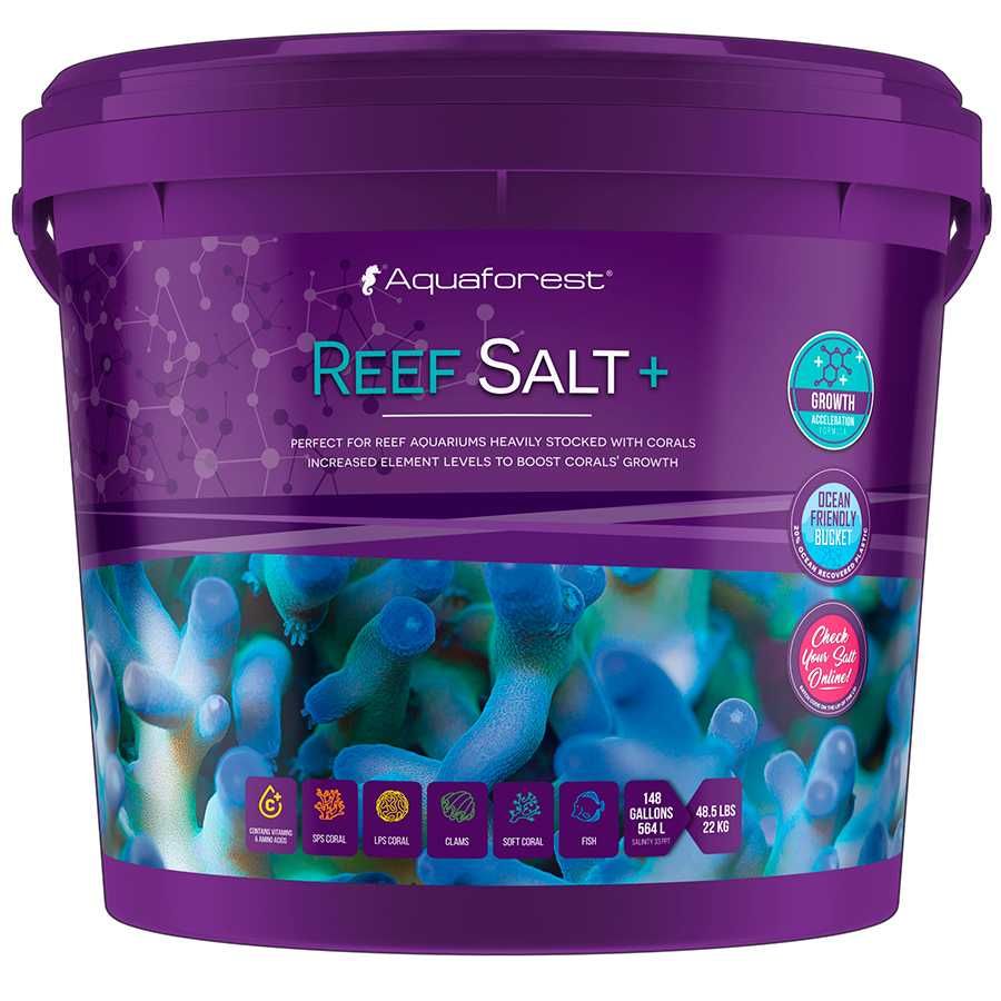 Reef - Sal Aquaforest