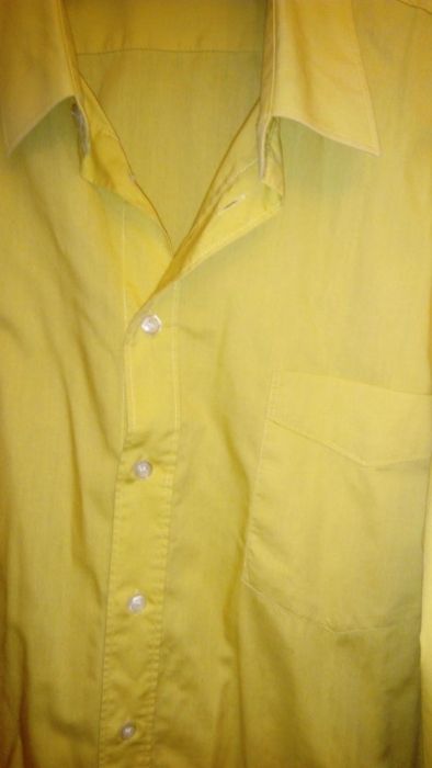 Koszula żółta 43