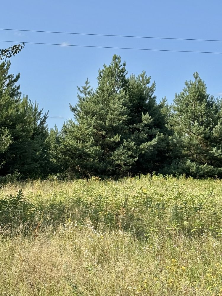 Продам земельну ділянку  67 Га! Калинівка!