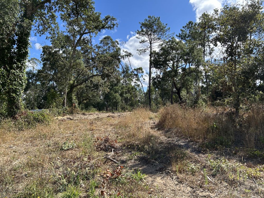 Terreno para venda