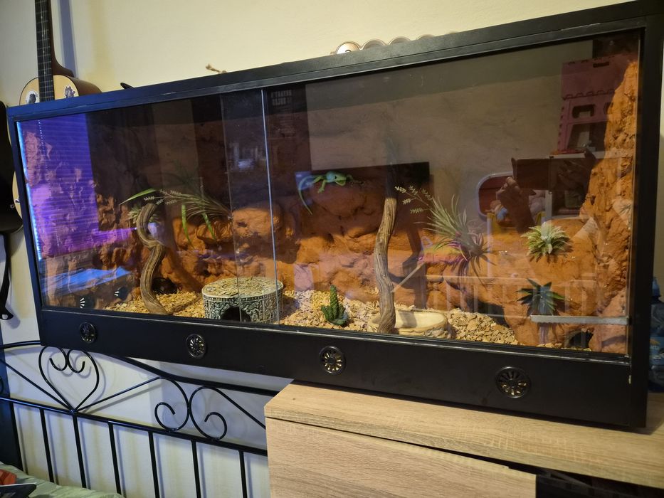 Terrarium dla pytona/węża/jaszczurki