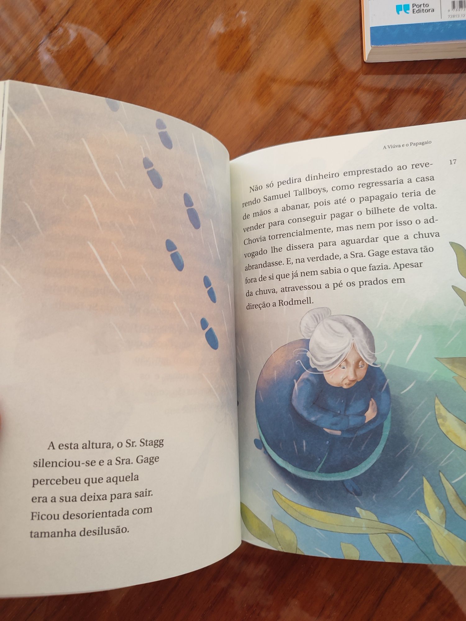 Livro A Viúva e o Papagaio