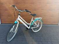 Rower Onilus Calista