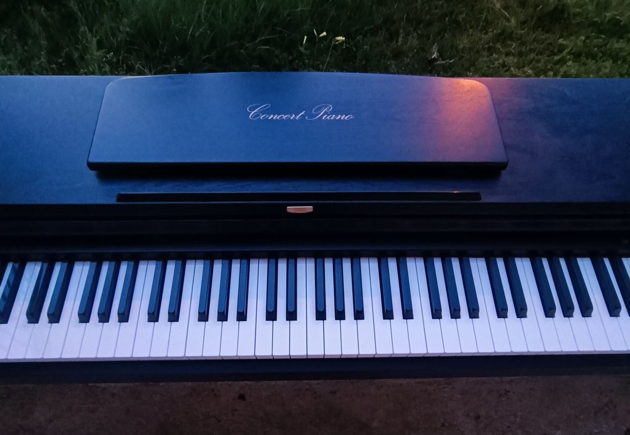 Piano Korg concerto C-36