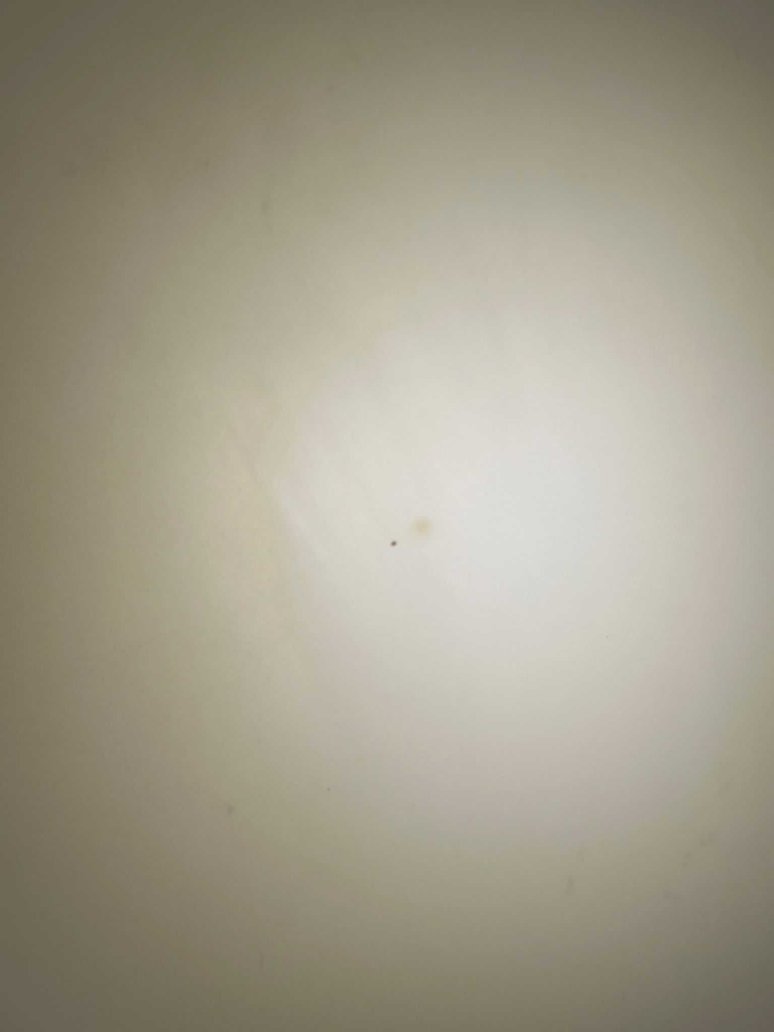 Łóżko piętrowe/antresola IKEA SMÅSTAD, białe/szare, bez materaca