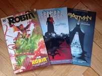 Batman Superman Second Chance Epilogue I am Robin Bohaterowie DC