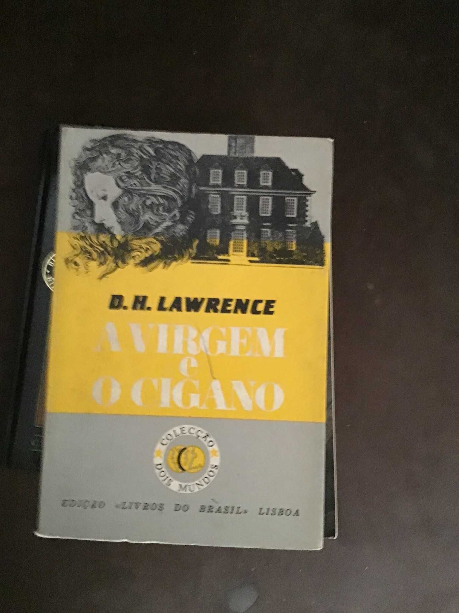 livro a virgem e o cigano