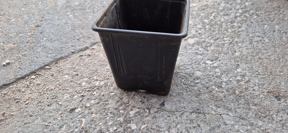 Vasos  plásticos