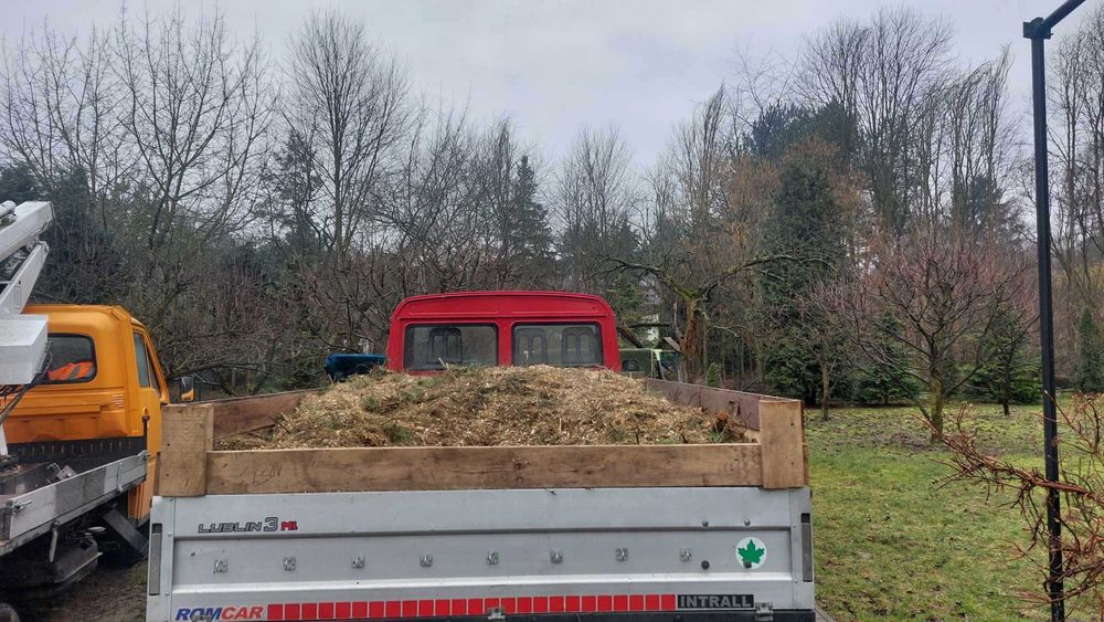 Wycinka drzew czyszczenie działek rebakowanie  przycinanie żywopłotu