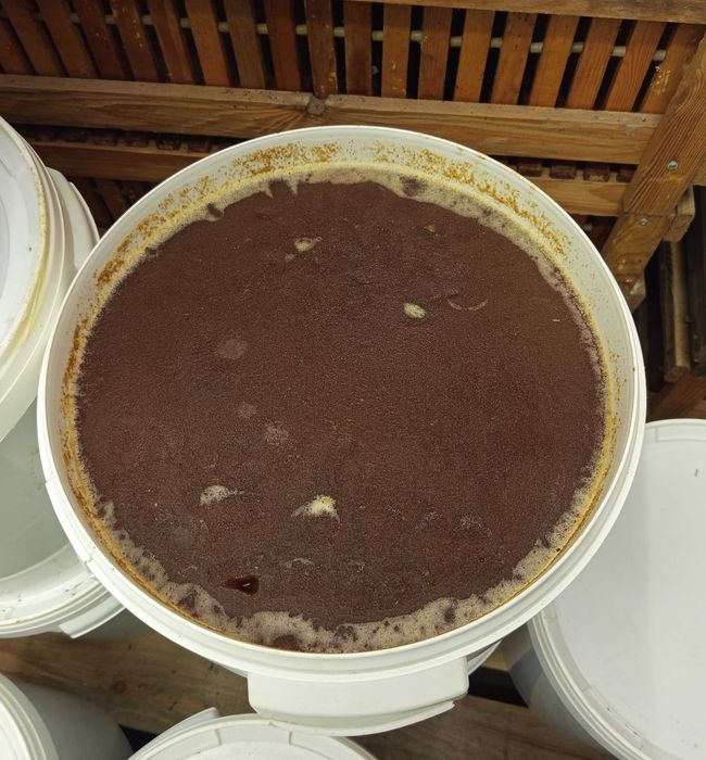 MIÓD GRYCZANY LIPOWY Wielokwiatowy i inne Polski Własna Pasieka Hurt