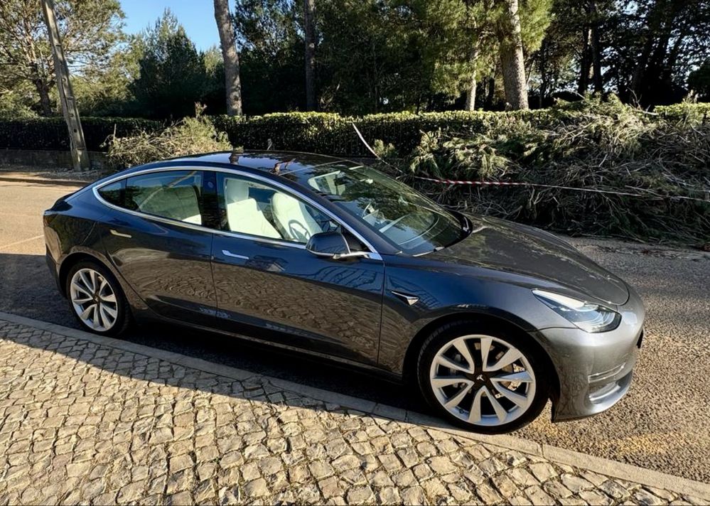 Tesla Model 3  Dual motor