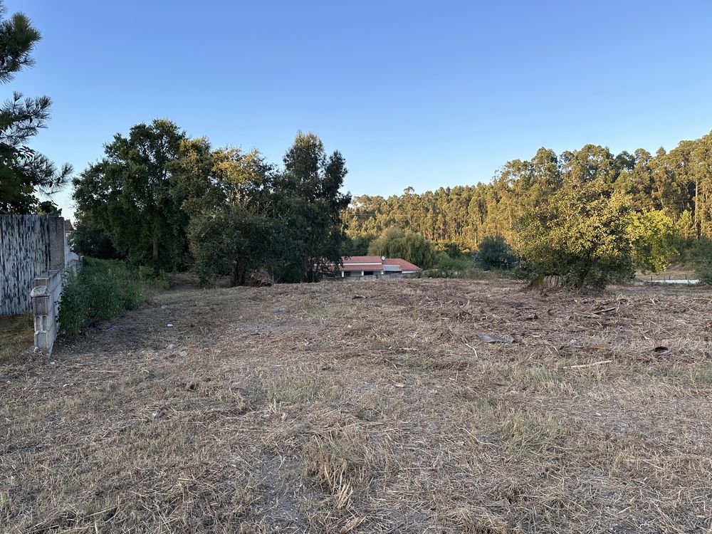Terreno Urbanizável em Picassinos, Marinha Grande - Excelente Invest.