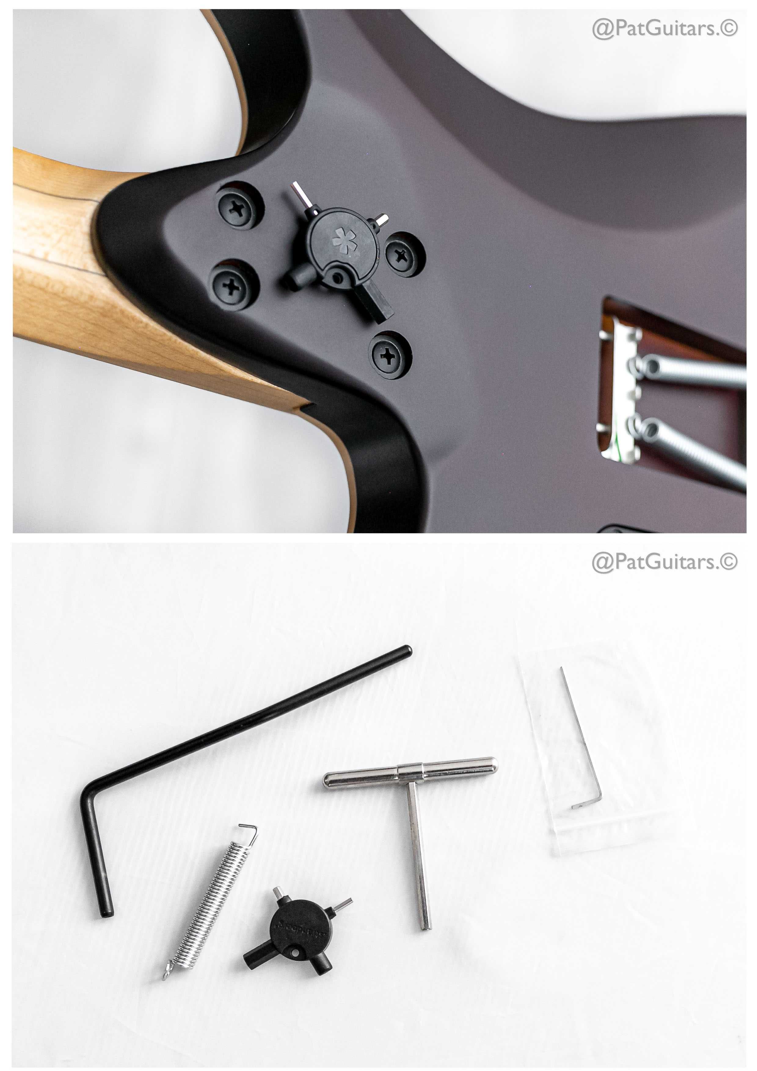 2022 Strandberg Boden Standard NX 6 Tremolo in Natural