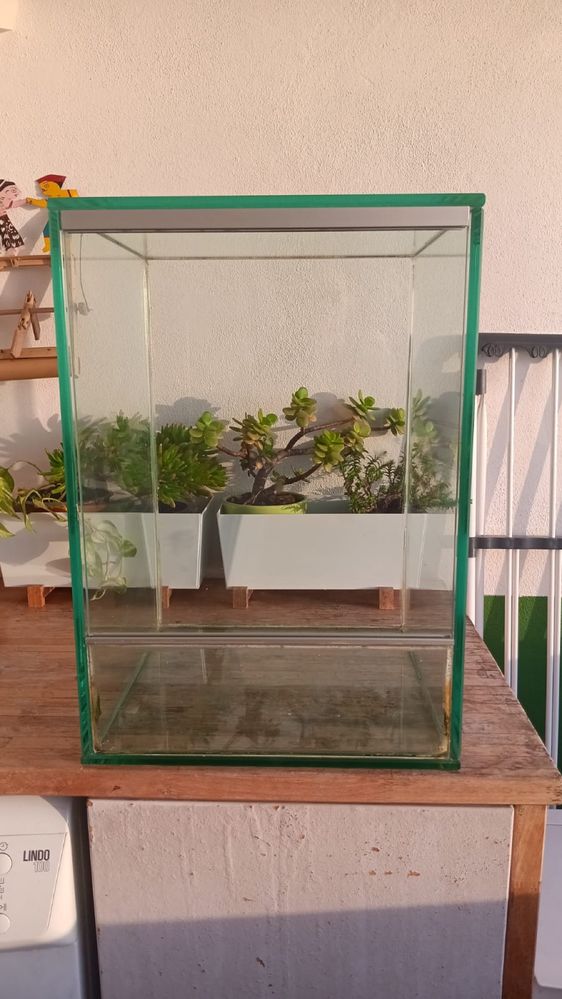 Terrário / aquario para plantas e animais