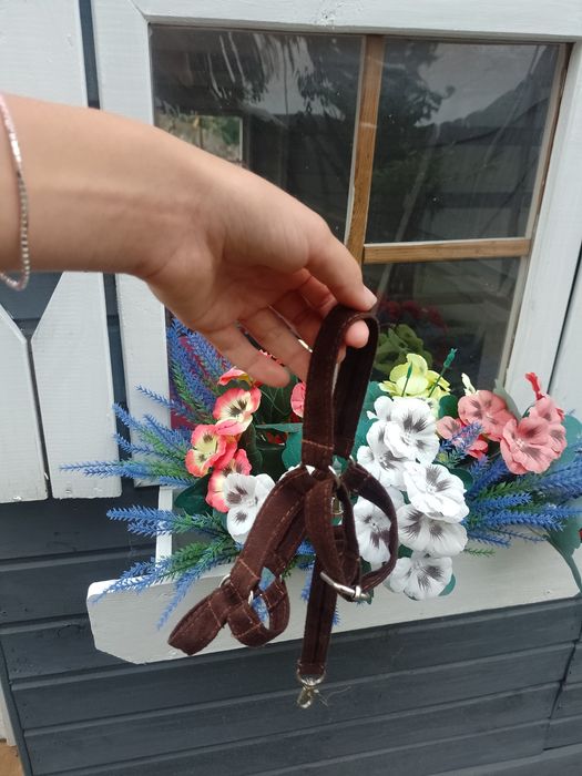 Ogłowie bezwędzidłowe na hobby horse a3