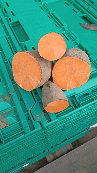 Batata doce laranja lugar da estrada