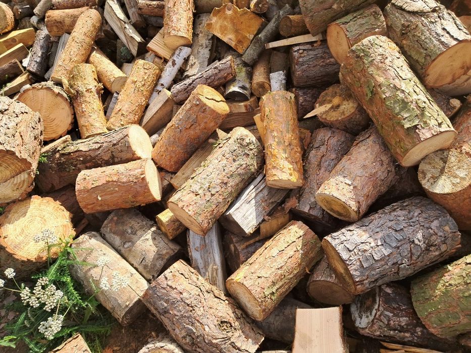 Drewno opałowe-kominkowe