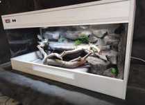 Terrarium okazja